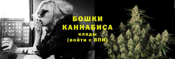 ешки Ельня