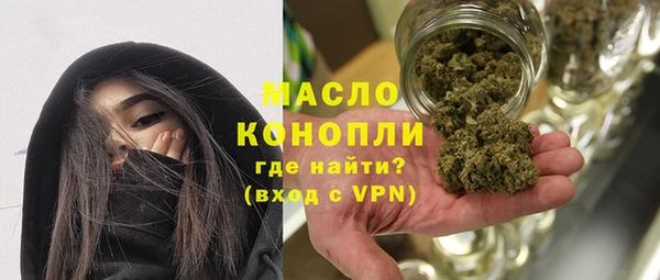ешки Ельня