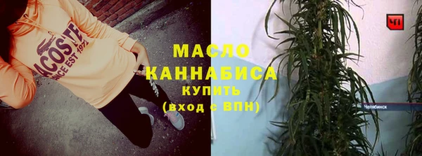 ешки Ельня